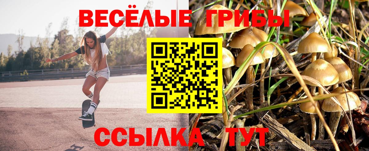 Галлюциногенные грибы Psilocybine cubensis Советская Гавань