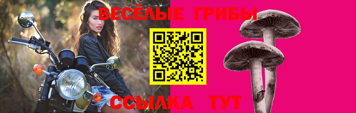 Псилоцибиновые грибы Psilocybe  Вход с VPN  Советская Гавань 